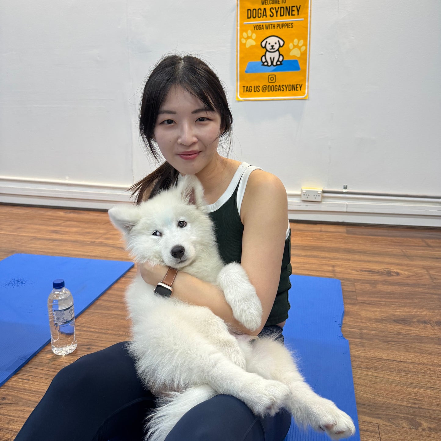Chatswood | Puppy Yoga - Doga Sydney