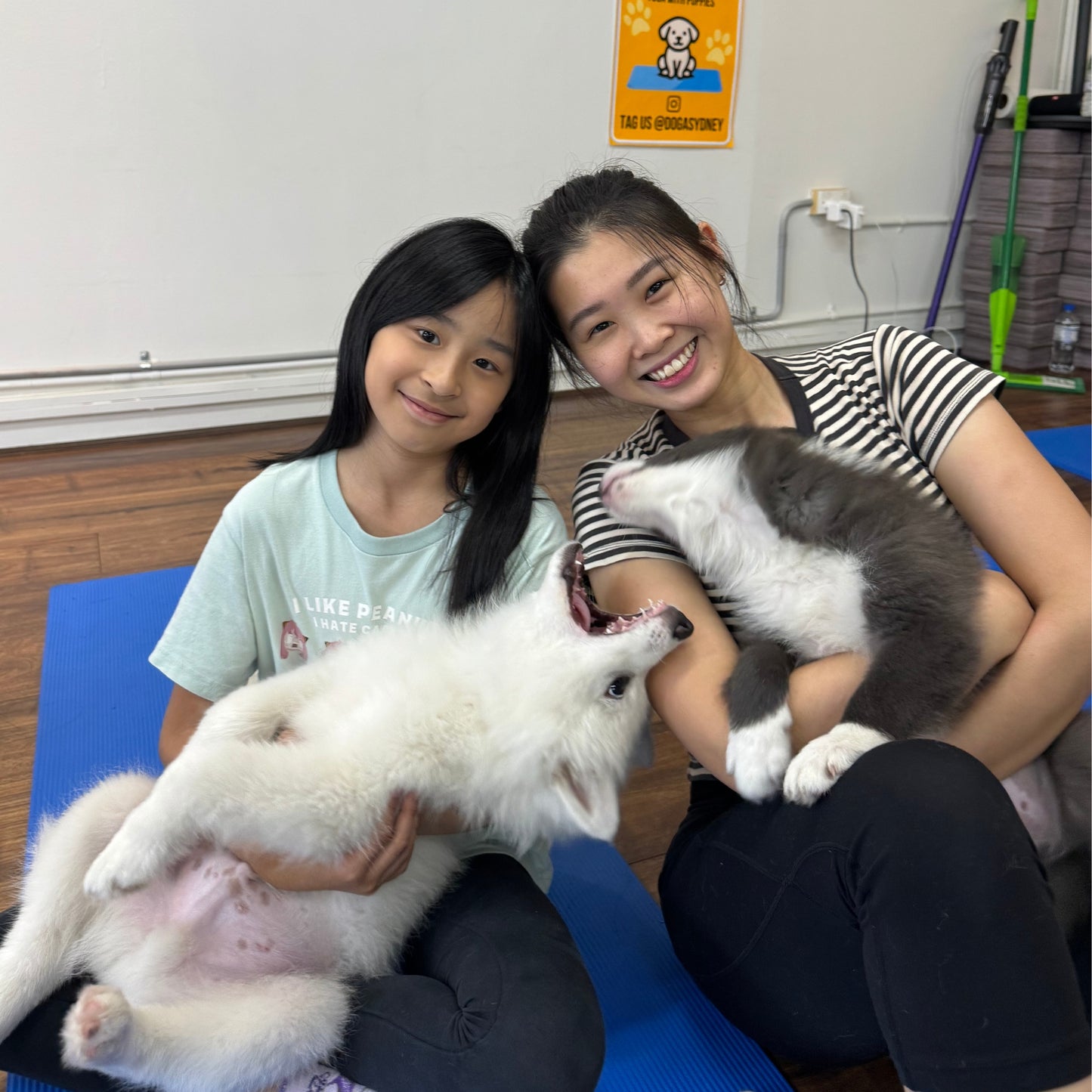 Chatswood | Puppy Yoga - Doga Sydney