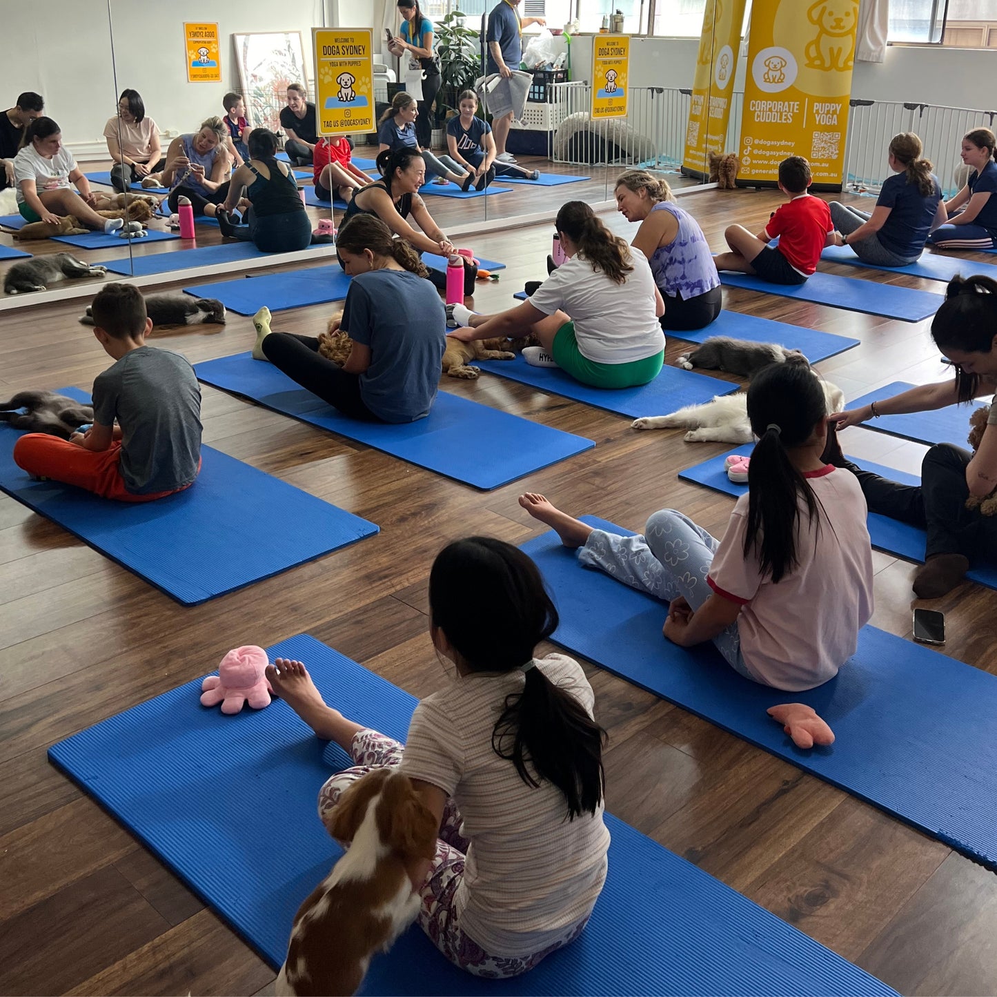 Chatswood | Puppy Yoga - Doga Sydney