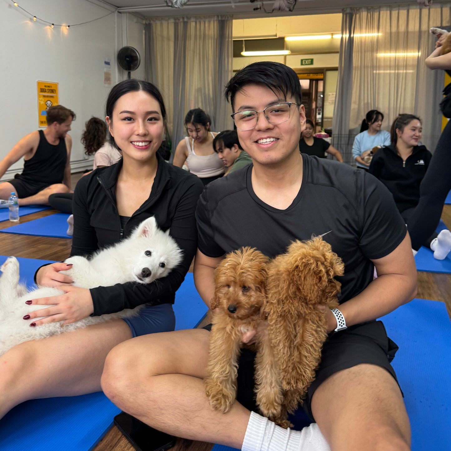 Chatswood | Puppy Yoga - Doga Sydney