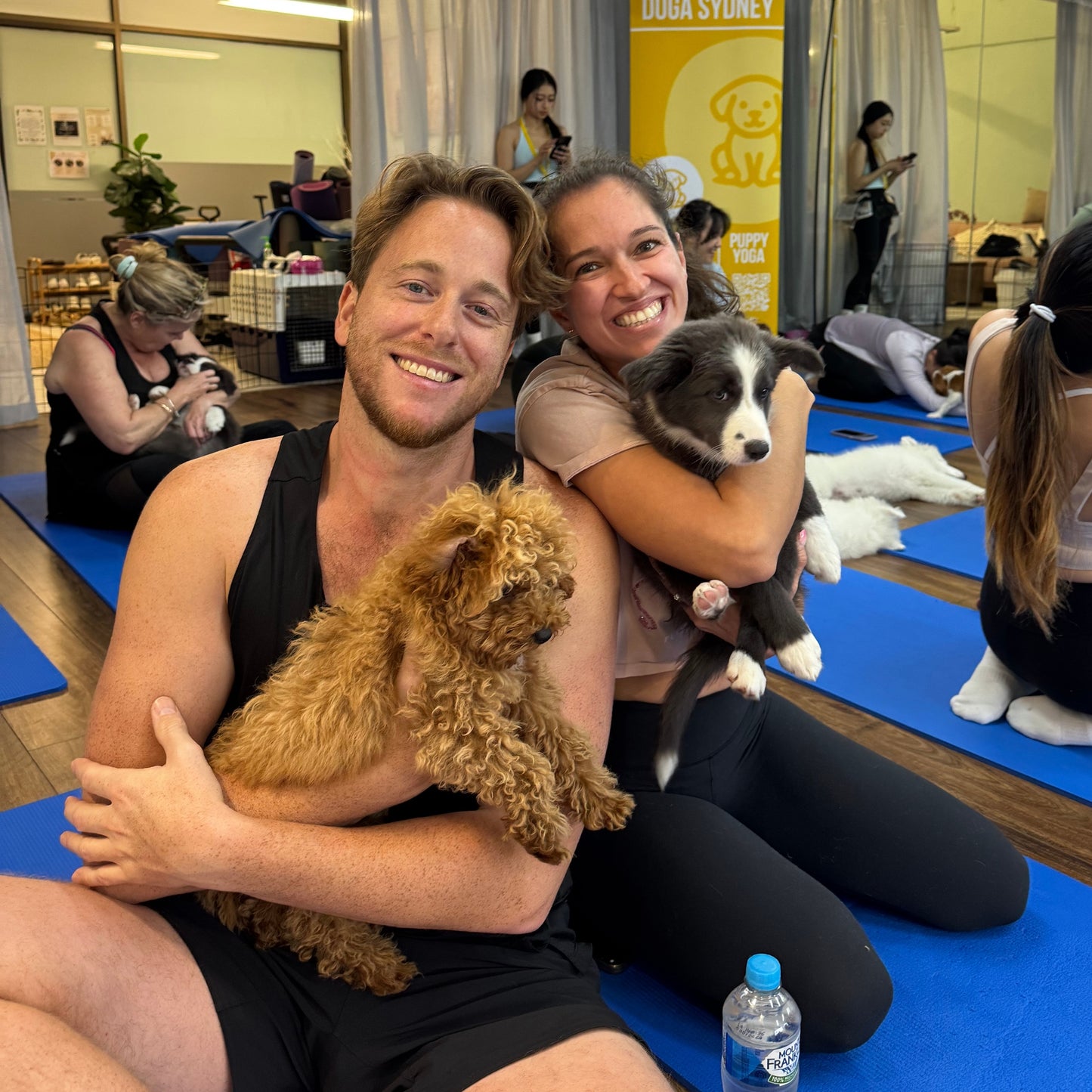 Chatswood | Puppy Yoga - Doga Sydney