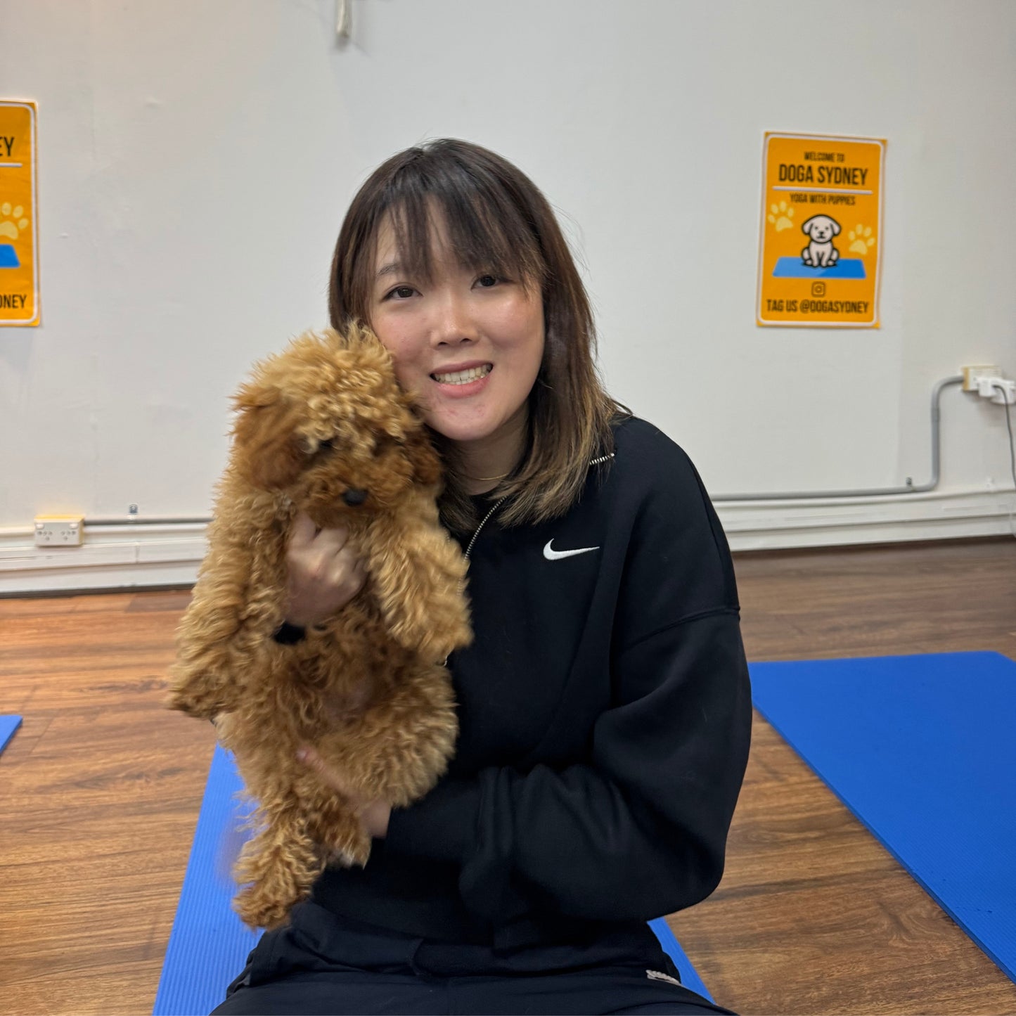 Chatswood | Puppy Yoga - Doga Sydney