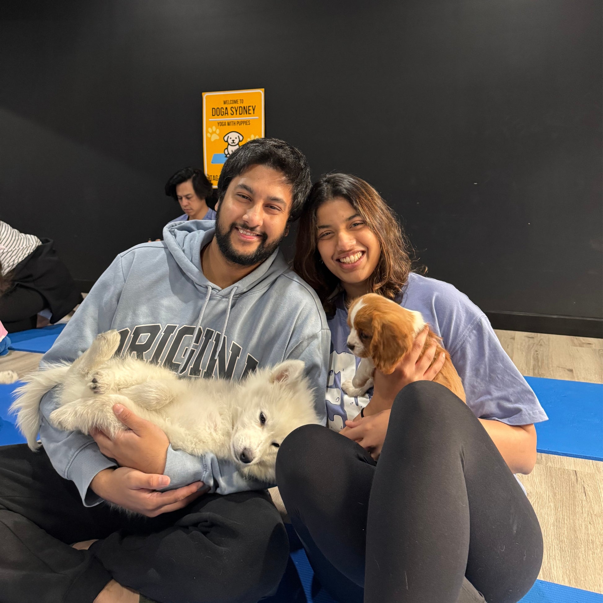 Parramatta | Puppy Yoga - Doga Sydney