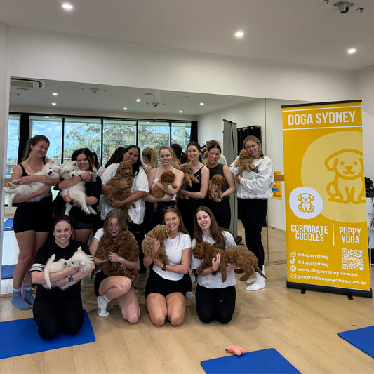 Private Events / Celebrations - Doga Sydney