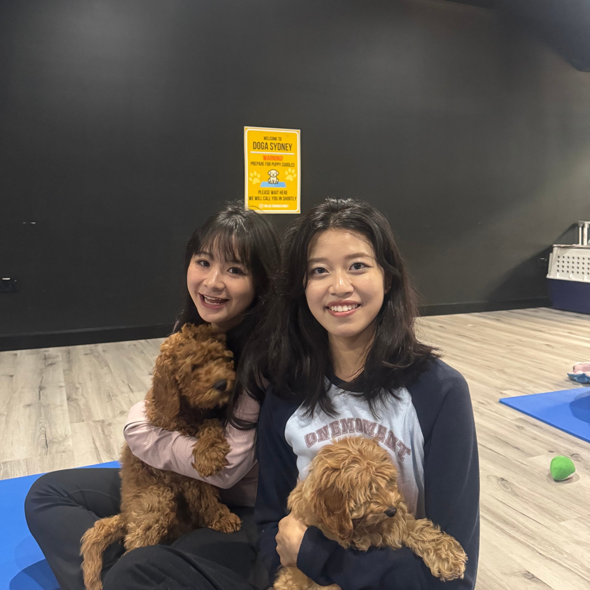Parramatta | Puppy Yoga - Doga Sydney