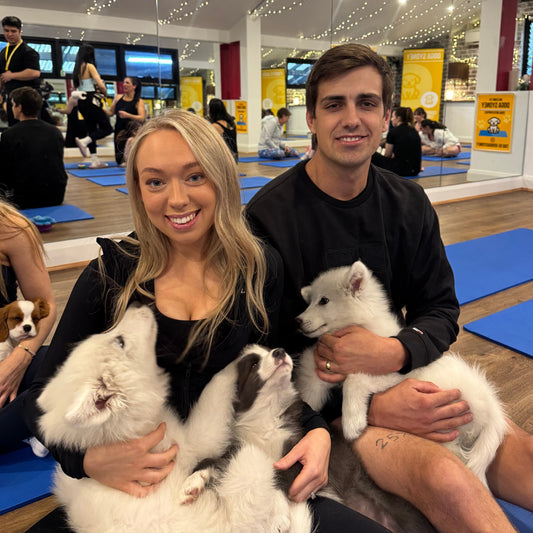 Summer Hill | Puppy Yoga - Doga Sydney