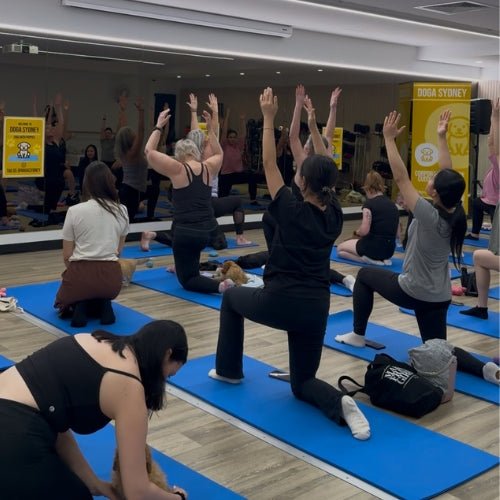 Rhodes | Puppy Yoga - Doga Sydney
