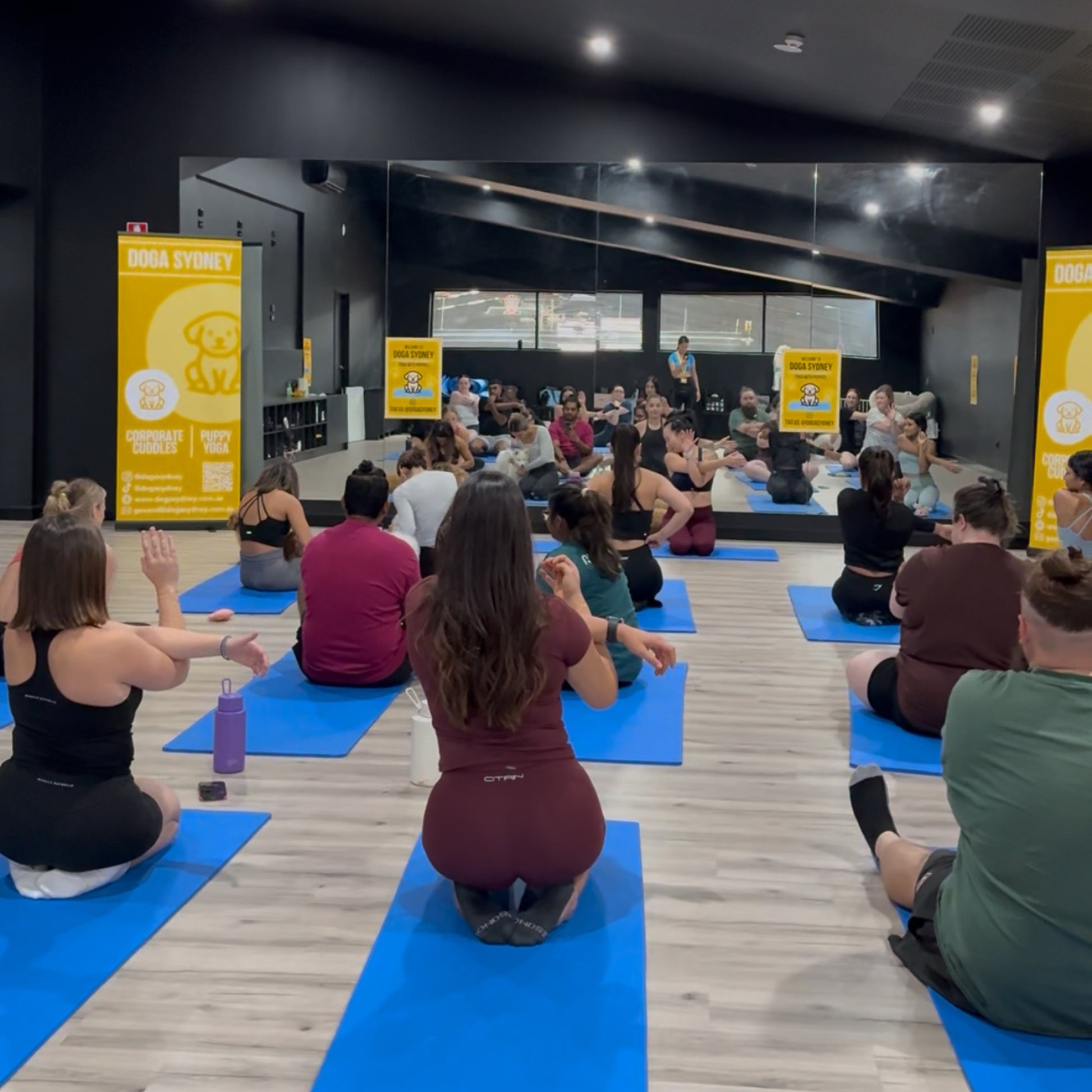 Parramatta | Puppy Yoga - Doga Sydney